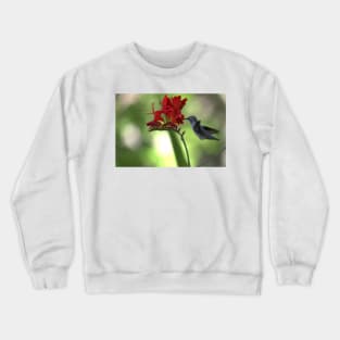 850_5919 Crewneck Sweatshirt